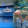 Maine / Florida — America's Leading Edges Confront the Global Economy